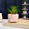 Citrus Delight Artificial Succulent With Pink Planter