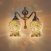 Devansh Metal Electric Wall Light in Multi Colour with Multi Shade Count of 2 Lights