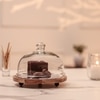 Ireka Homes Frosty Bliss Acacia Wood Cake Stand with Glass Dome