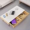 Hexa Engineered Wood Coffee Table With 2 Drawers In Giant Wood And Frosty White