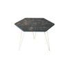Bohemian Tint Coffee Table