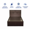 Takeo Engineered Wood Single  Size Bed With Box Storage (Walnut Finish)