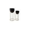 Angelina Planter Set of 2