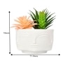 Artificial Succelent Arrangement With White Planter