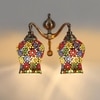 Devansh Metal Electric Wall Light in Multi Colour with Multi Shade Count of 2 Lights