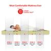 Twin Plus 5-Zone I-Shape Tech.
 (78 x 36 in, 8 Inches)