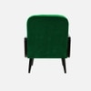 Haden Solid Wood Accent Chair in Green Colour