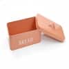 Galvanized Rectangular Bread Box In Orange Colour