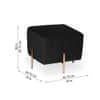 Doe Buck Adirondack Channel Tufted Velvet Ottoman Stool in Black Colour with Gold Legs