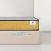 Sleepwell Ortho Pro Spring Mattress Medium Firm Queen 78x66x10 Inch