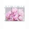 Truss Pink Grey Pieces Peonies Floral Canvas Wall Canvas Wall Prints Set of 3 Multicolor Matte