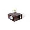 Milan Sheesham Wood Coffee Table In Walnut Finish