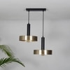 Giada 2 Light Matte Black and Brass Hanging Light