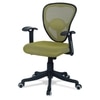 Aaeroa Low Back Ergonomic Chair in Pearl Green Colour