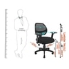 Classic Ergonomic Office Chair In Black