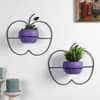 Wall Hanging Apple Planter Set Of 2 In Purple Colour