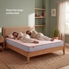 Kurlon Ortho Plus Spring Medium Firm Single Orthopedic Mattress 78x36x6 Inch