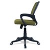 Diicea Mid Back Ergonomic Chair in Pearl Green Colour
