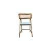 Adrasteia Solid Wood Lounge Chair In Blue Colour