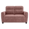 Alvaro Velvet 2 Seater Sofa Pink Color