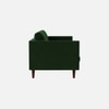 Tharoli Velvet 2 Seater Sofa in Green Colour