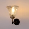 Devansh Metal Electric Wall Light in black Colour with Transparent Shade Count of 1 Light