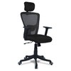 Dreaceo High Back Ergonomic Chair in Black Colour