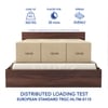 Lush Engineered Wood Queen  Size Bed With Box Storage (Walnut Finish)