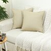Tamarind Set Of 2 Cushion Cover With Beige Colour