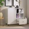 Hexa Engineered Wood Bookshelf Multipurpose Storage Rack in Frosty White Colour