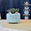 Petite Greens With Cute Cartoon Planter