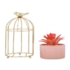 Succulent Plant In Ceramic Pot With Attractive Bird Cage