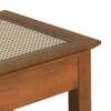 Fujiwara Solid Wood And Cane Bedside Table In Amber Walnut Finish