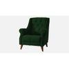 Joplin Accent Chair in Green Colour