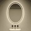 Oval Shape Lighted LED Mirror Modern Vanity Mirror