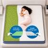 Sleepwell Ortho Genius Grid Mattress Medium Firm Orthopedic Grid Support Single 72x30x6 Inch