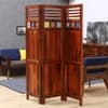 Rangrez Sheesham Wood Room Divider In Natural Finish