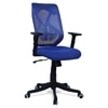 Zeeazyana Mid Back Ergonomic Chair in Blue Colour