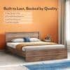 Davis Engineered Wood Queen Size Non Storage Bed In Classic Walnut Finish