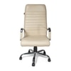 Adiko Sleek Executive Office Chair In Cream