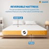 Sleepwell Dual Resitec Foam Medium Firm Single Size Mattress (Thickness: 4 Inches, Dimensions: 78 X 36 Inches)
