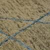 Glencoe Carpet