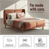 Valerio Duo-Panel Luxe Queen Size Bed in Antique Rose colour Velvet with Oak wood Frame