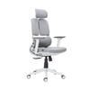 Merry Premium Ergonomic Office Chair High Back in Grey Colour