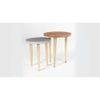 Toshi Side Table Set Of 2