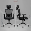Zeus Study Chair