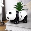 Black 1 Pieces Succulent Artificial Plant With Pot