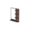 Rico Mini Engineered Wood Wall Mount Dressing Table Mirror with Shelves (Wenge)