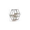 WOODENMOOD Hexa Wall Rack