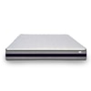 Relaxgrid with High Density  Mattress (75 x 30 in, 10 Inches)